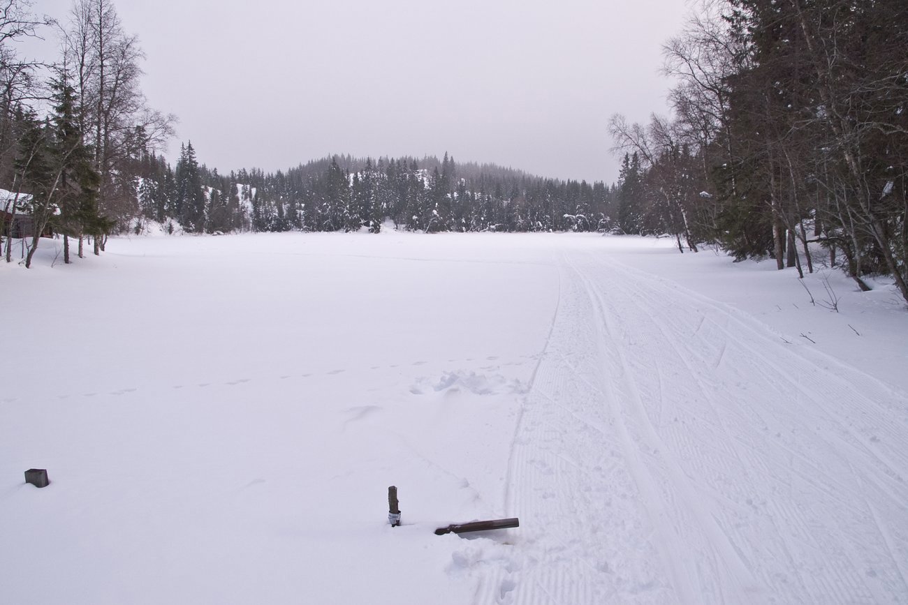 Gjerdet har tapt ved Bønnerudtjern