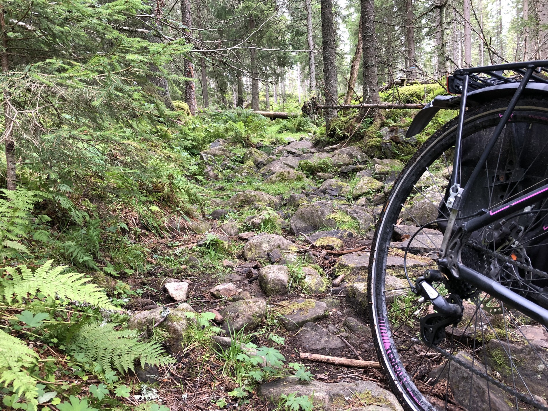 Glad vi skulle nedover