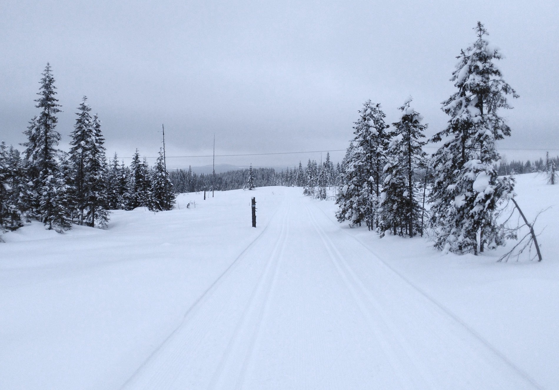 Glåmhaugen i det fjerne