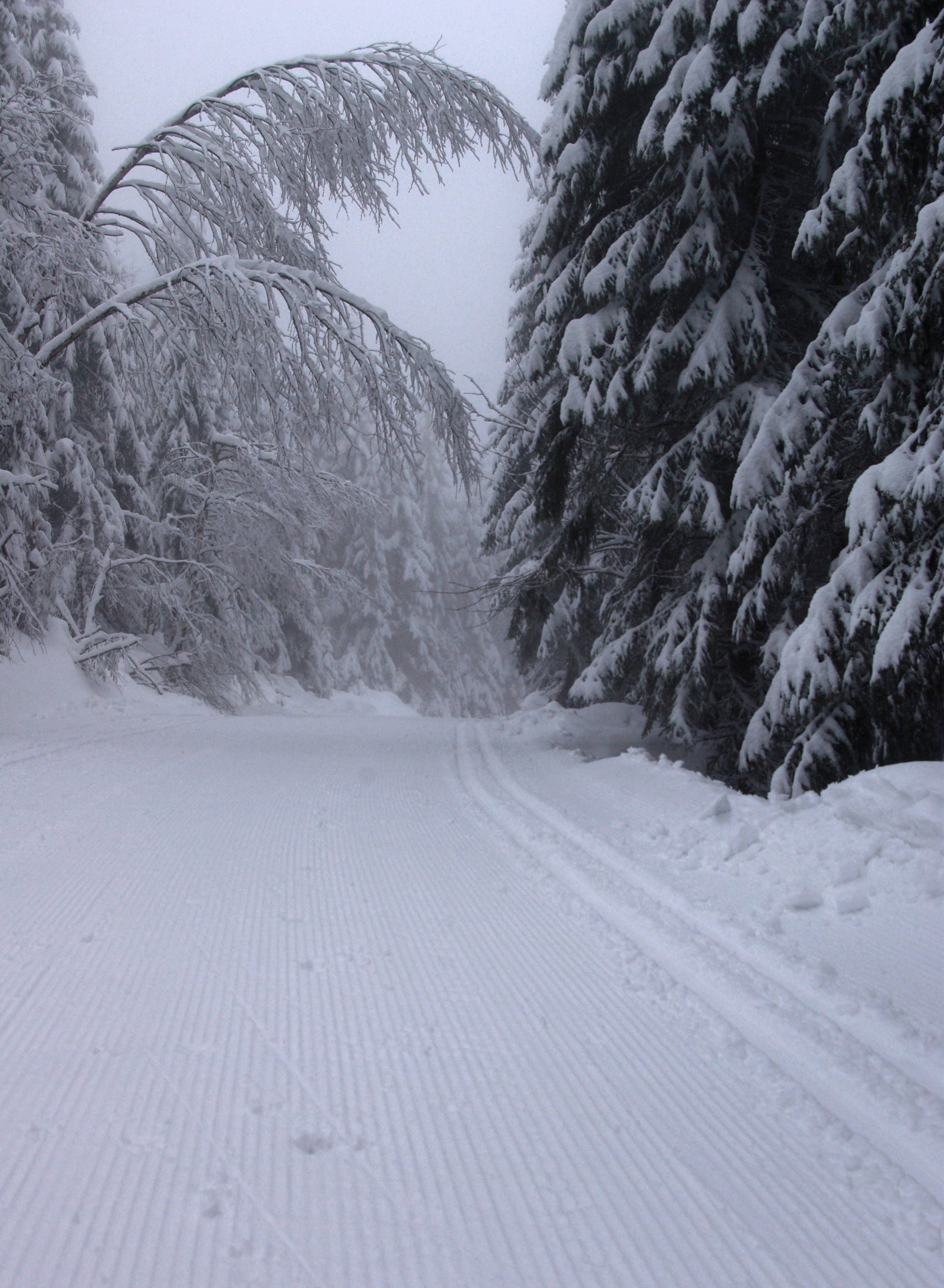 Glatt føre ved Kjønstadsætra