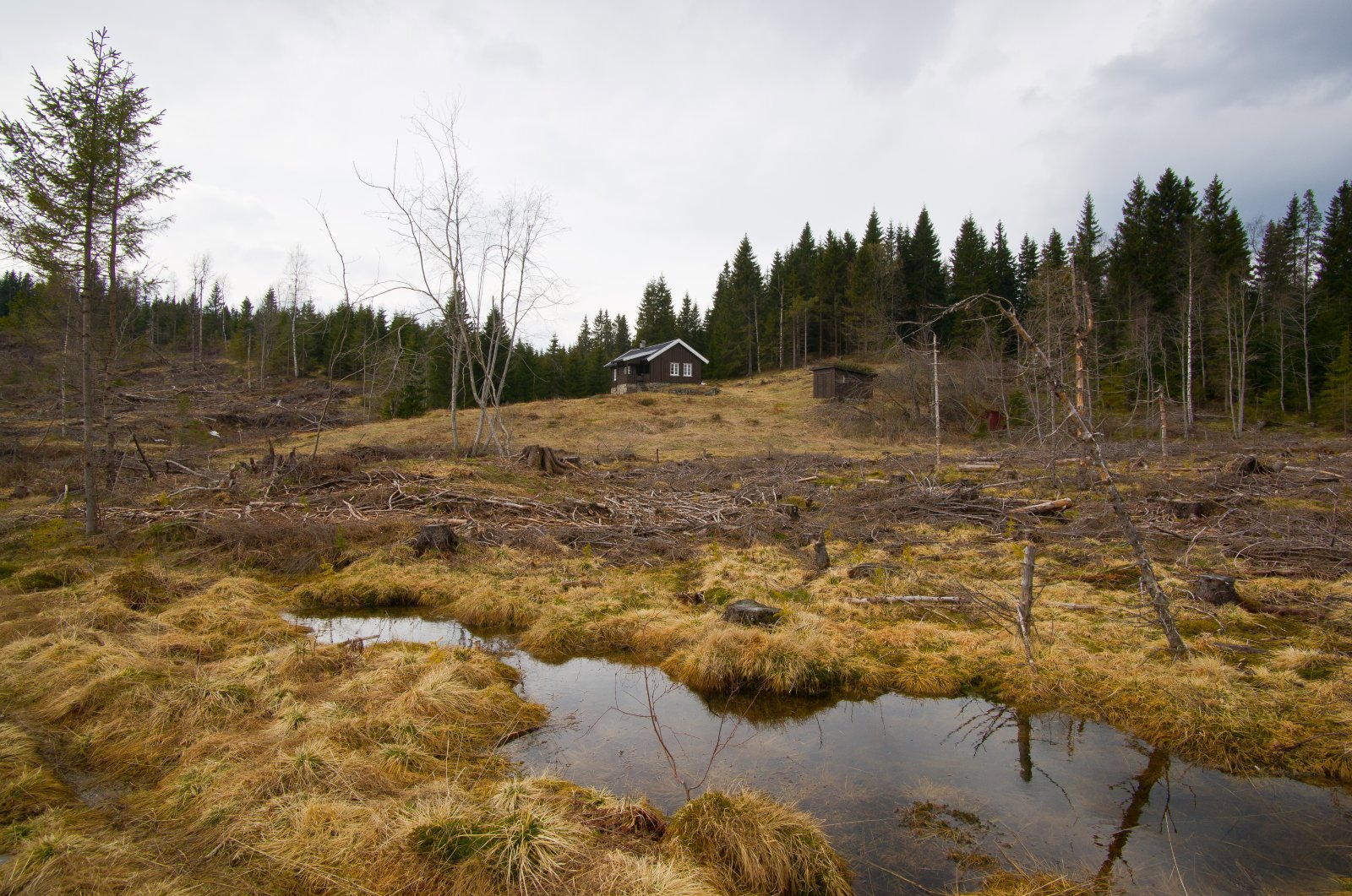 Glissent ved Jonsrudkampen