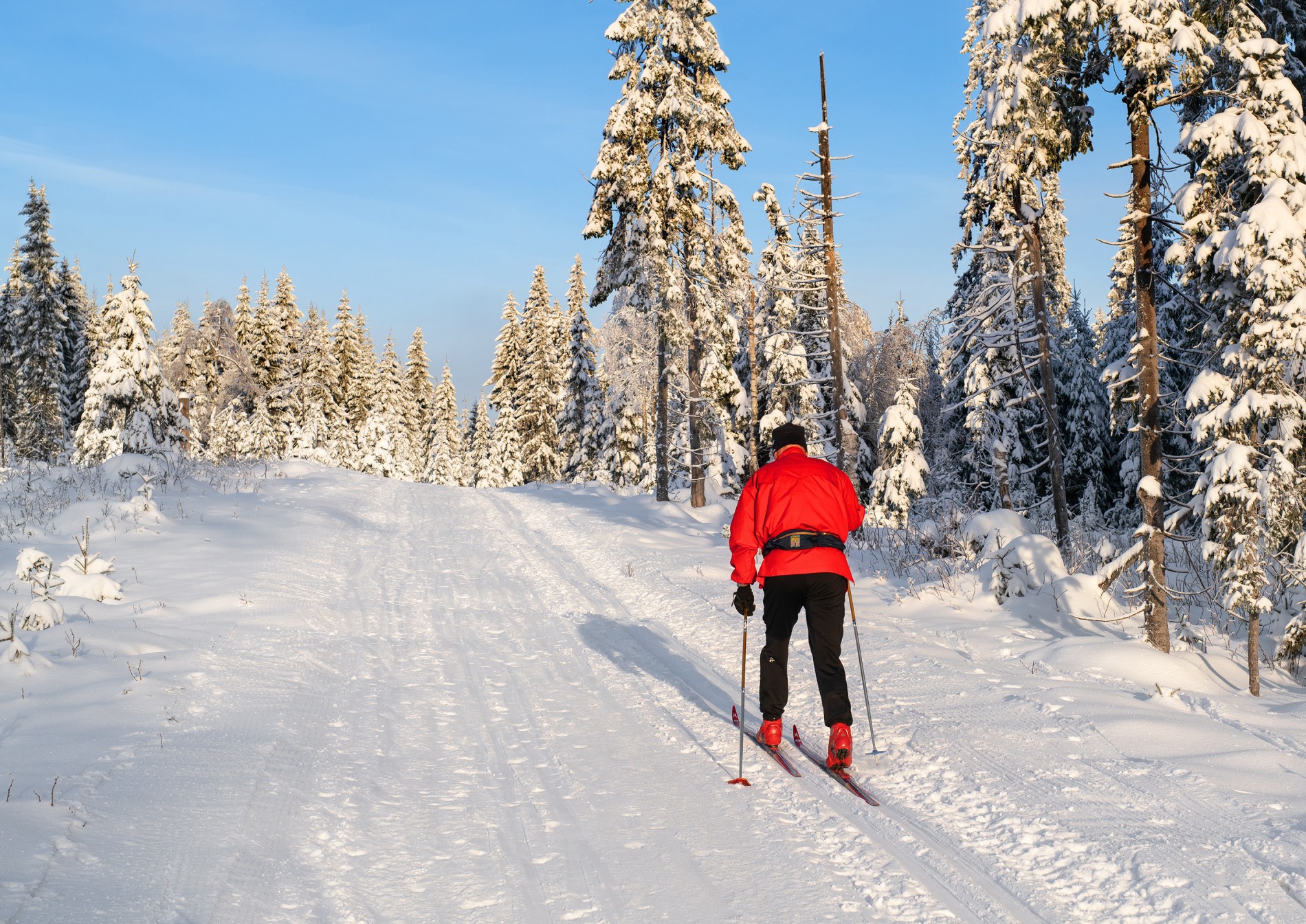 Glitrende forhold i Vestmarka