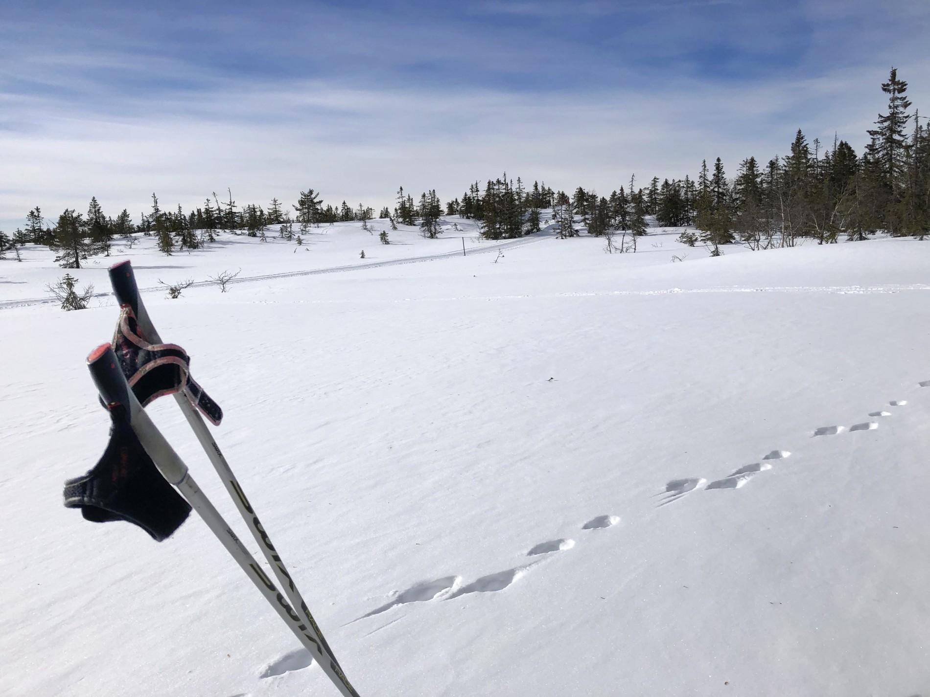 God plass i vidstrakt mark