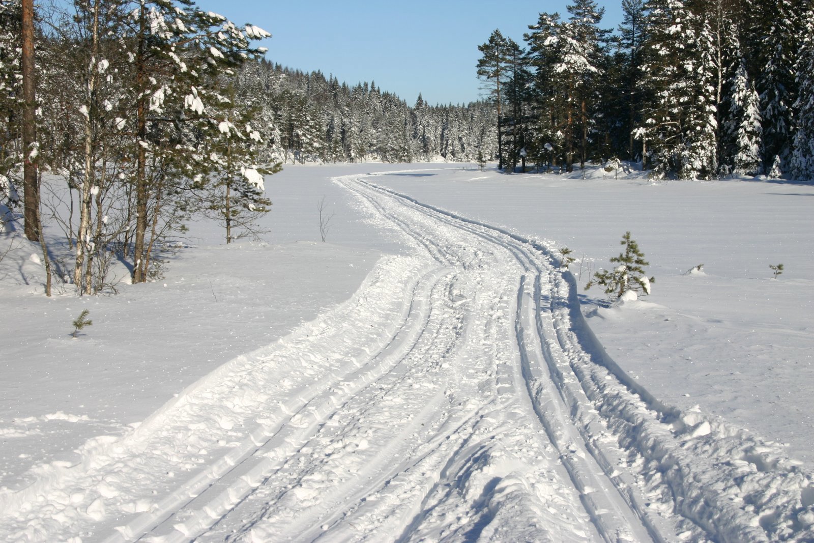 God plass på Forfoten