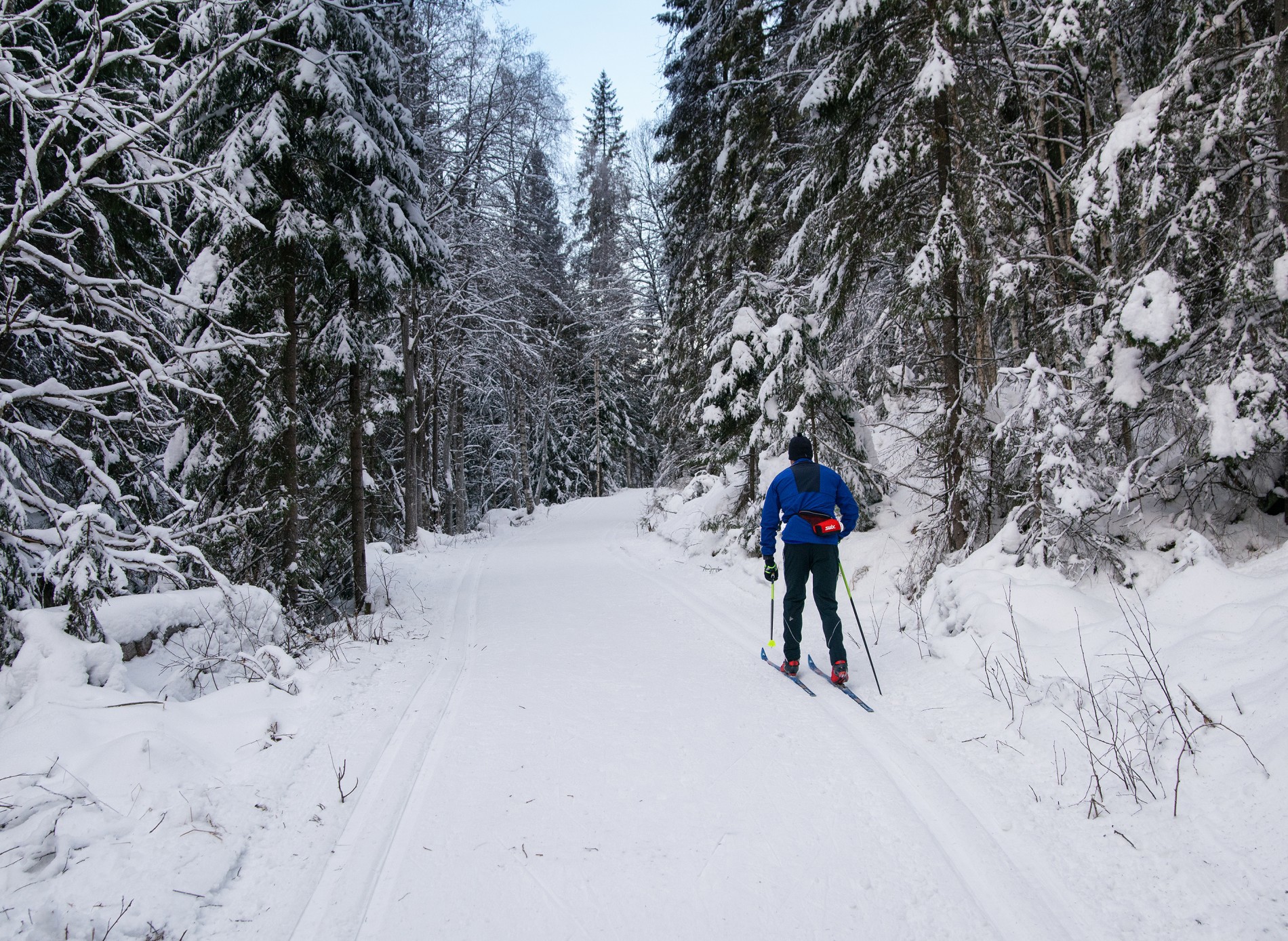 Gode forhold i Elvelia