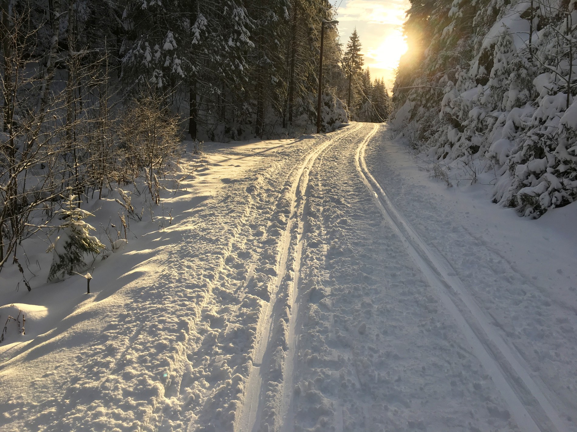 Gode forhold i Østmarka