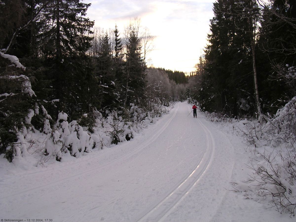 Gode skiforhold fra Lommedalen