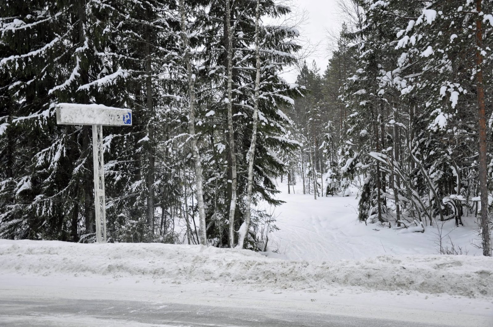 Godt skjult skiløype
