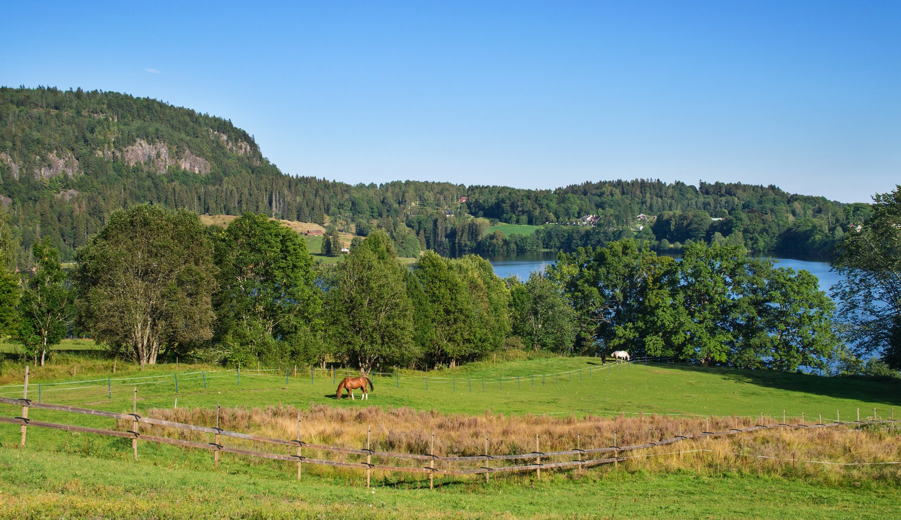 Godværsdag ved Tveiter