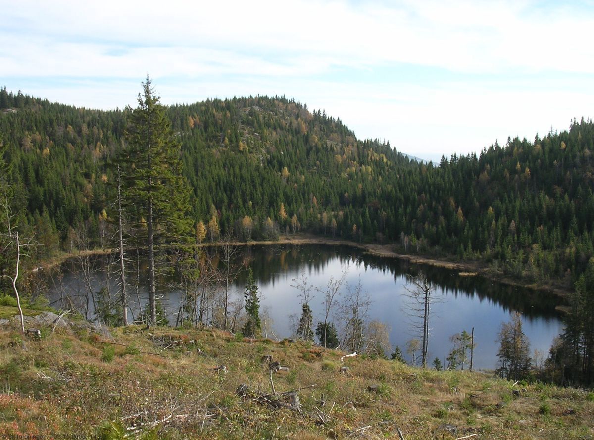 Gopletjernsåsen med Gopletjern foran