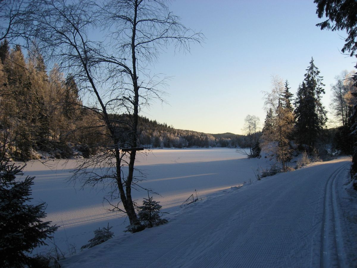 Gørja i lav desembersol