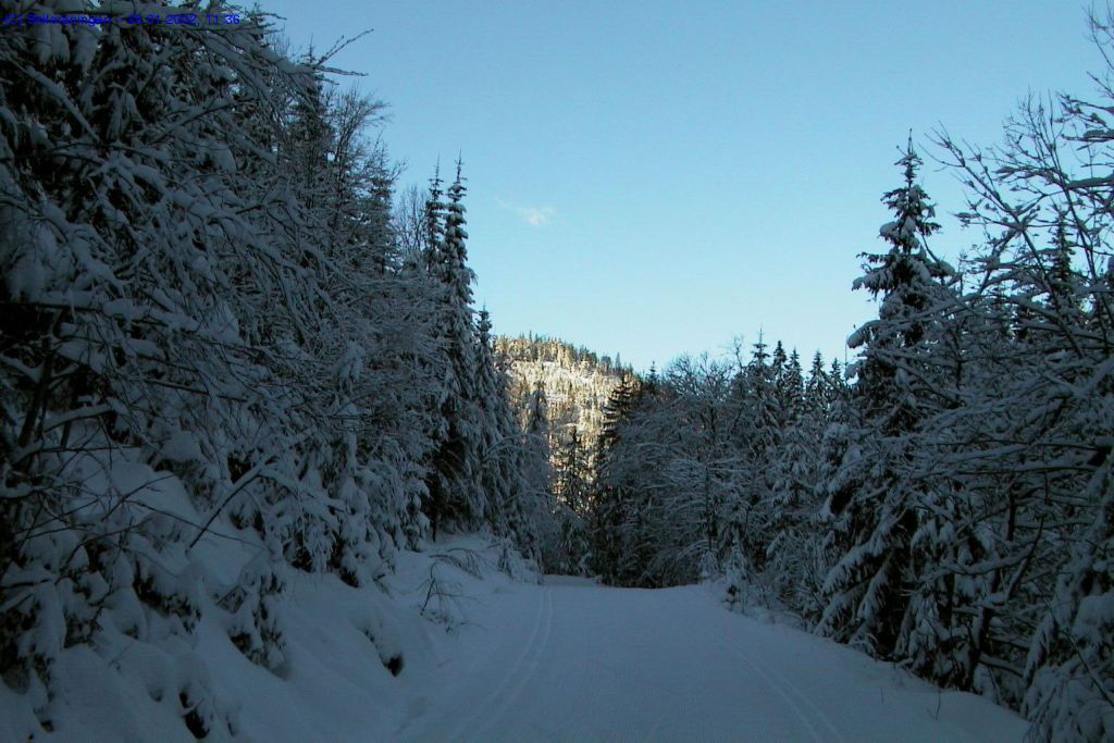 Gråseterveien mot Storbekkhytta