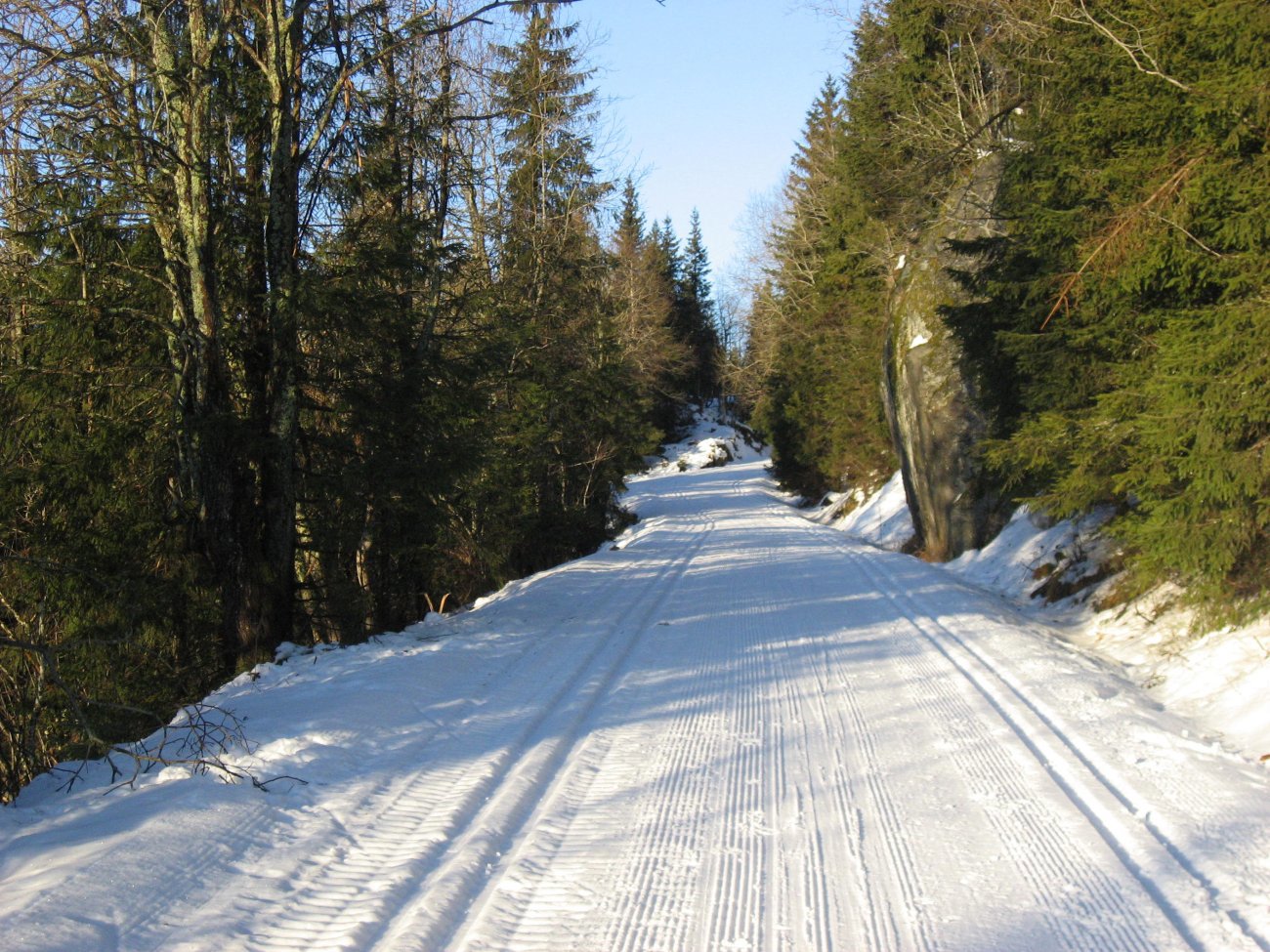 Gråseterveien oppover mot Søndre Heggelivann