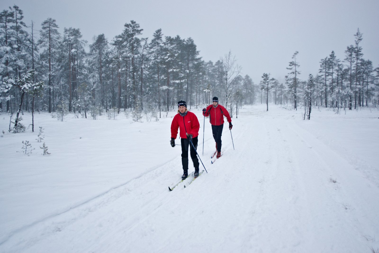 Gråvær over Høgsmåsan