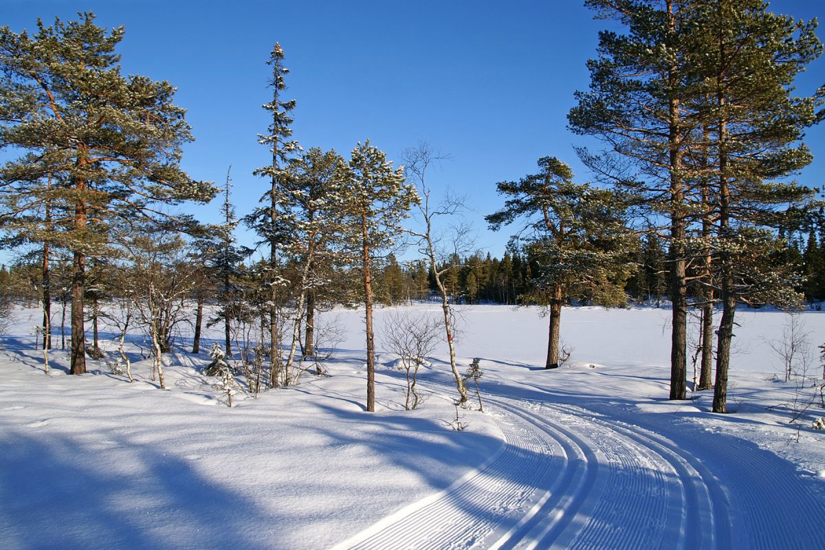 Greie forhold ved Stormyrtjern...