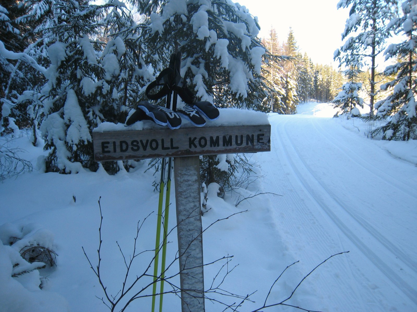 Grensekryssing i skogen