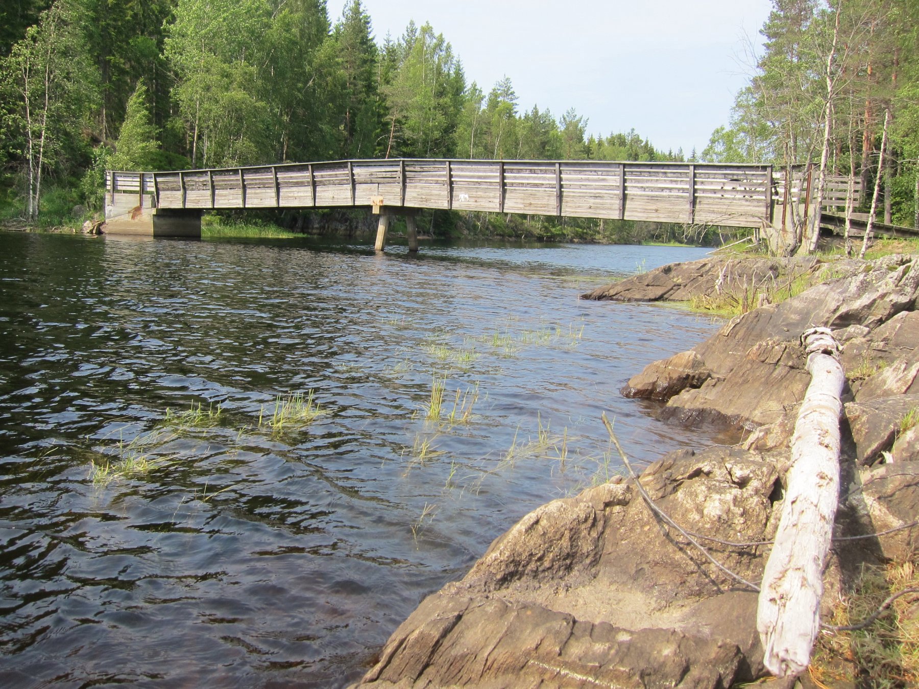 Grenseoverskridende ved Elvåga