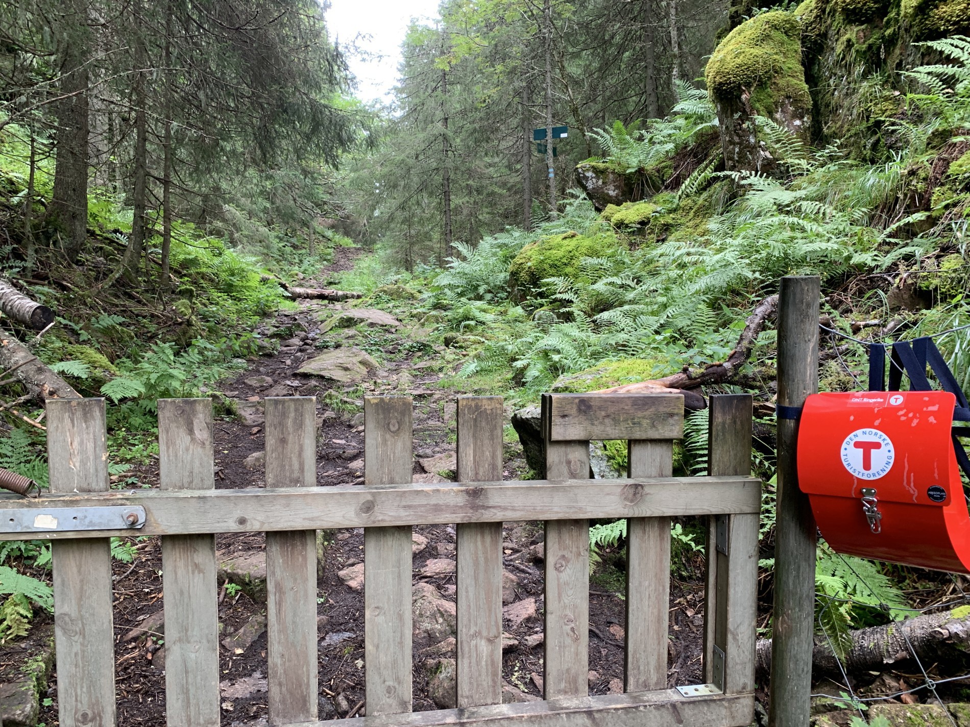 Grinda på toppen av Skardveien