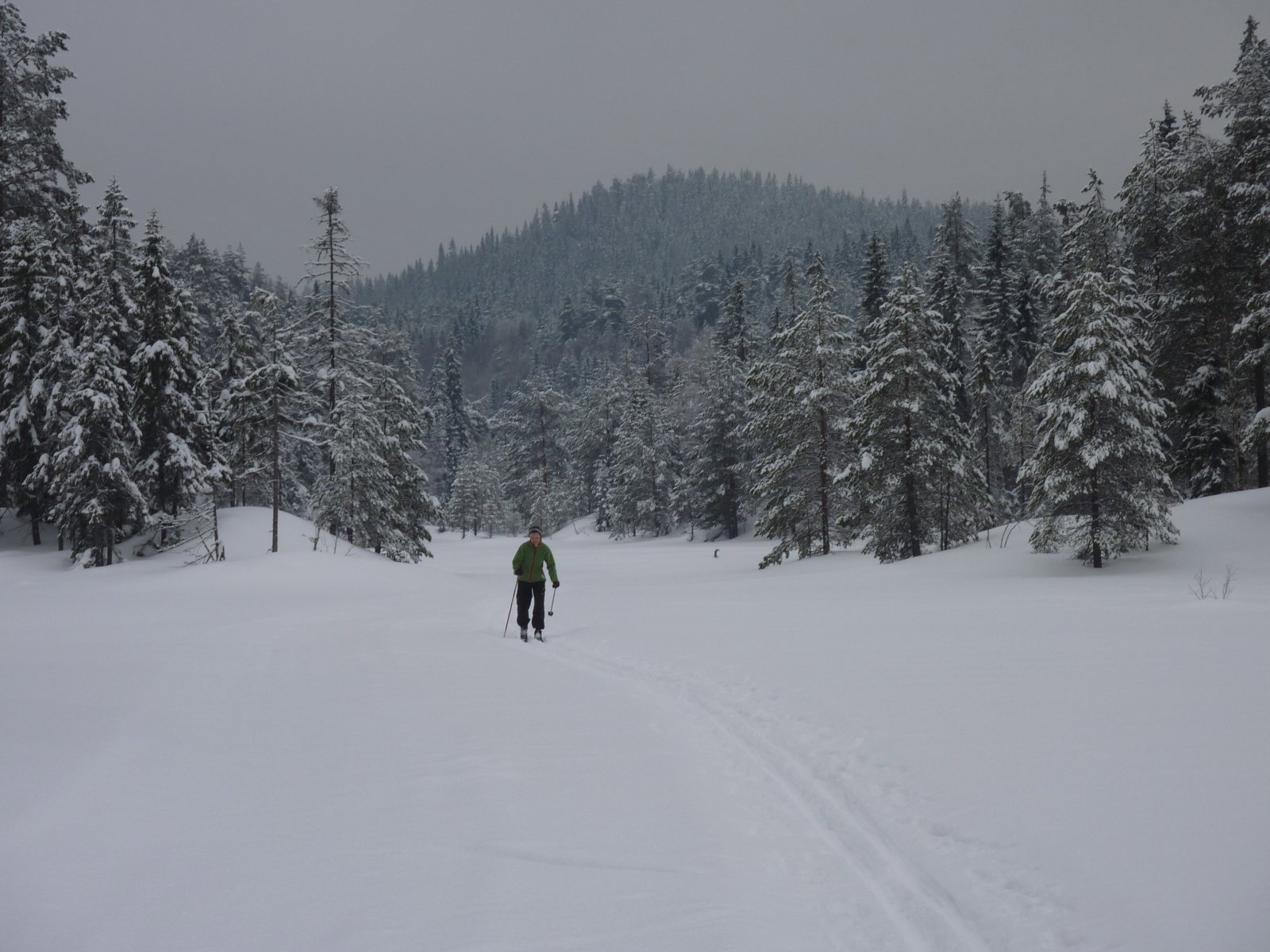 Grinderkollen i sikte