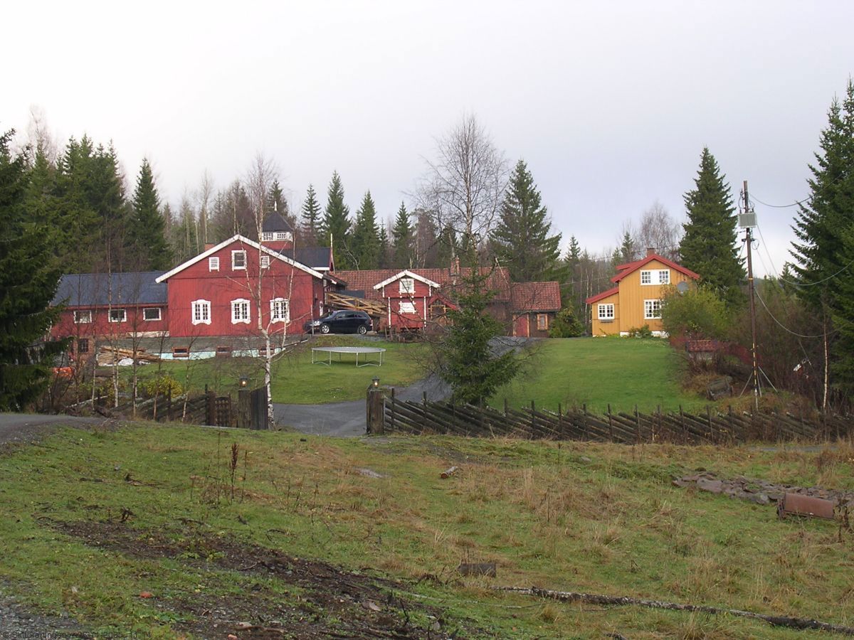 Grønn november på Niskinn