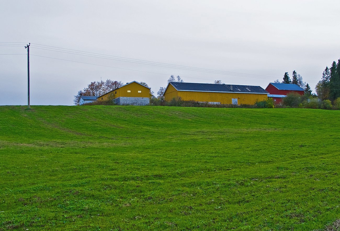Grønn oktober ved Tåsås