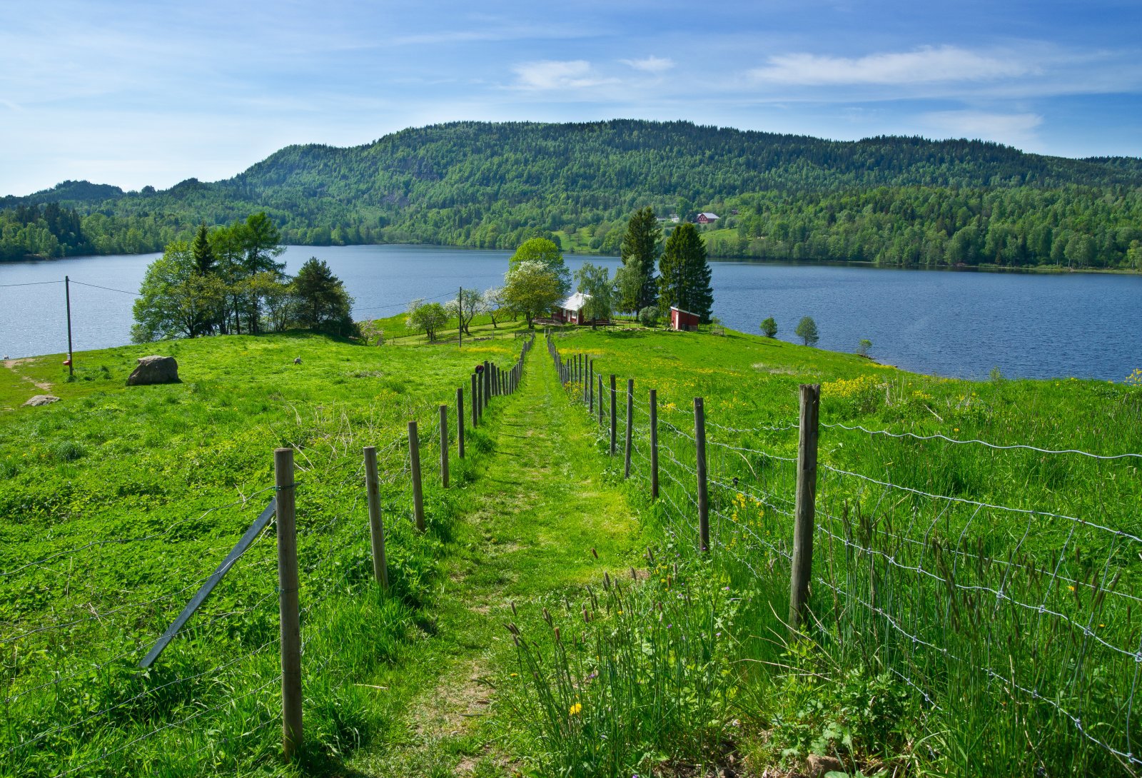 Grønn vei ned til Tangen