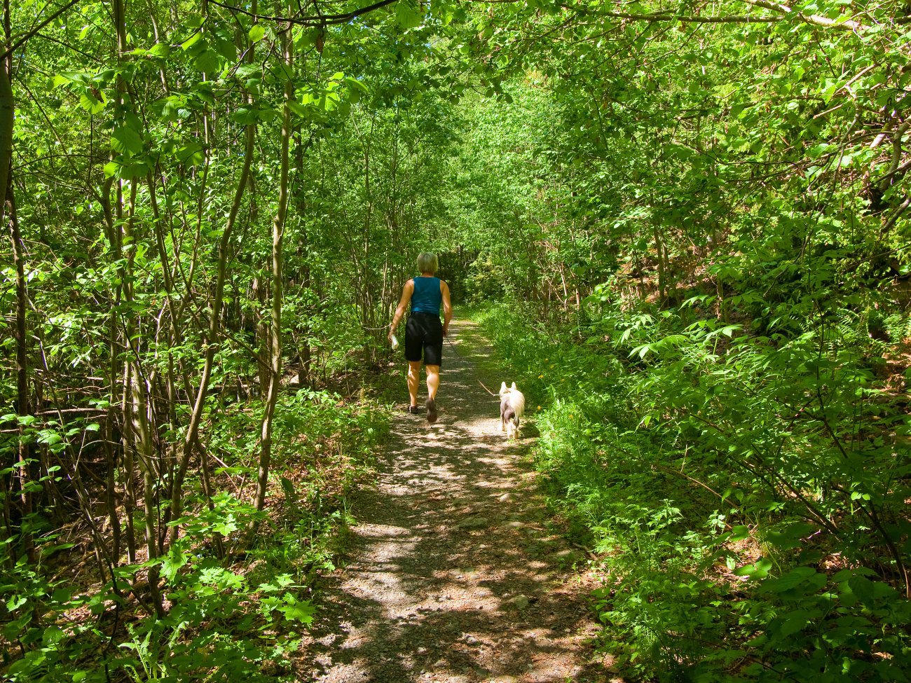 Grønnere blir det ikke!