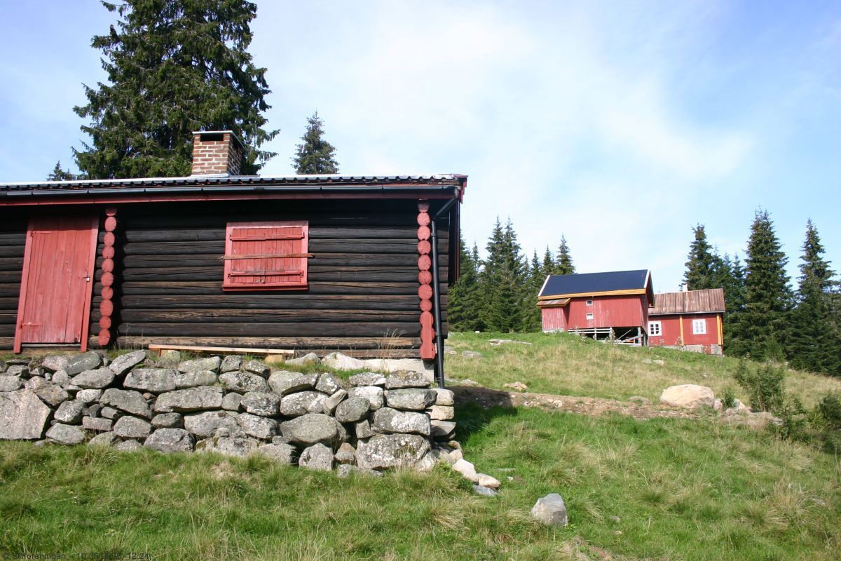 Grønt på setervollen