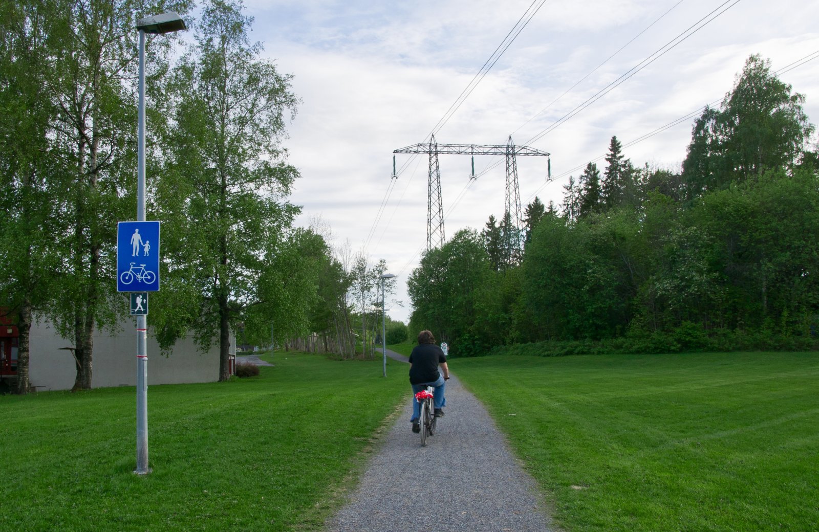 Grønt ved Gjettum skole