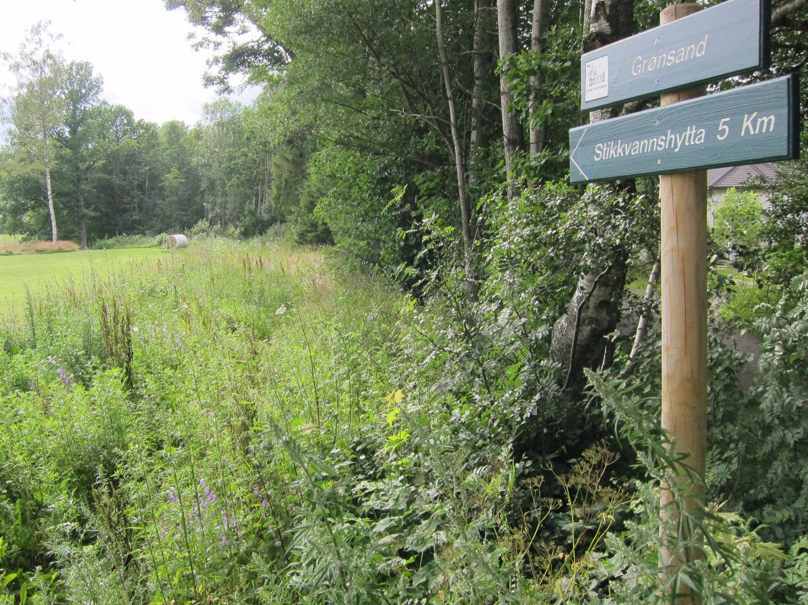 Grønt ved Grønsand