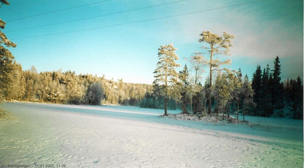 Halssjøen i januarsol