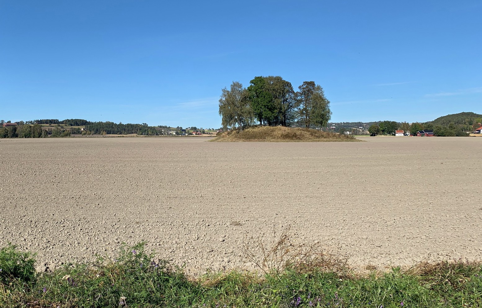 Halvdanshaugen sett fra syd