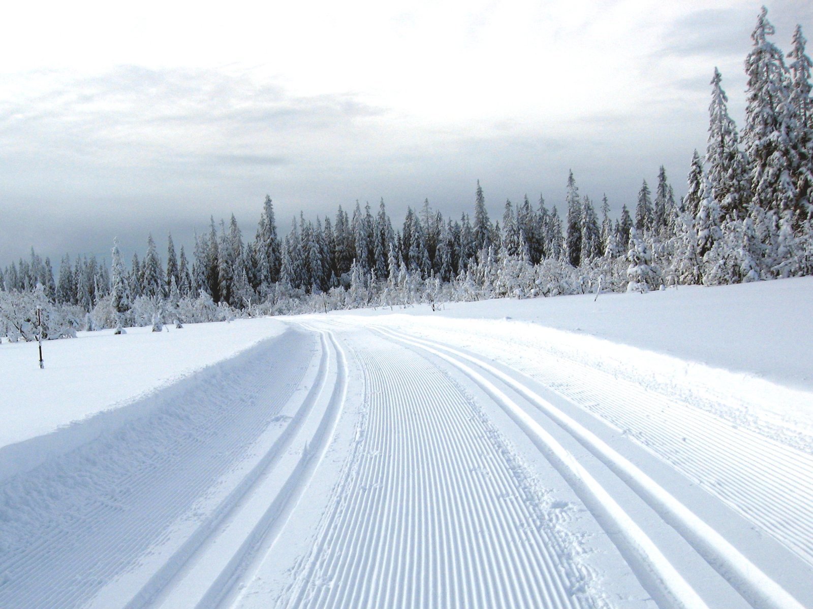 Har Hadelandstrikken vært her?
