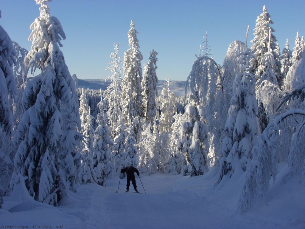 Hard motbakke gir fin utforkjøring