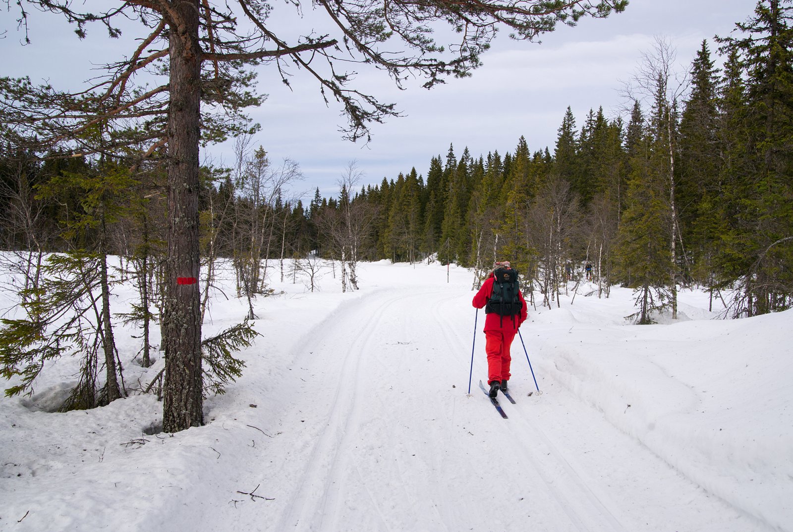 Harde spor ved Stubdalstjern