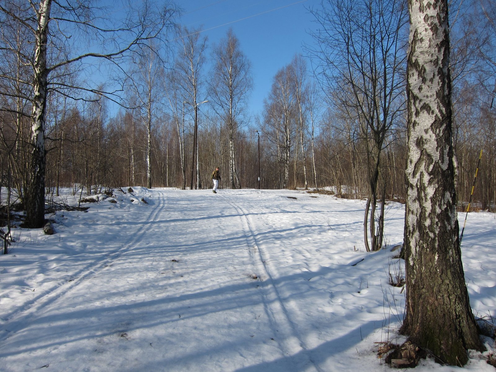 Hardt i lysløypetraseen