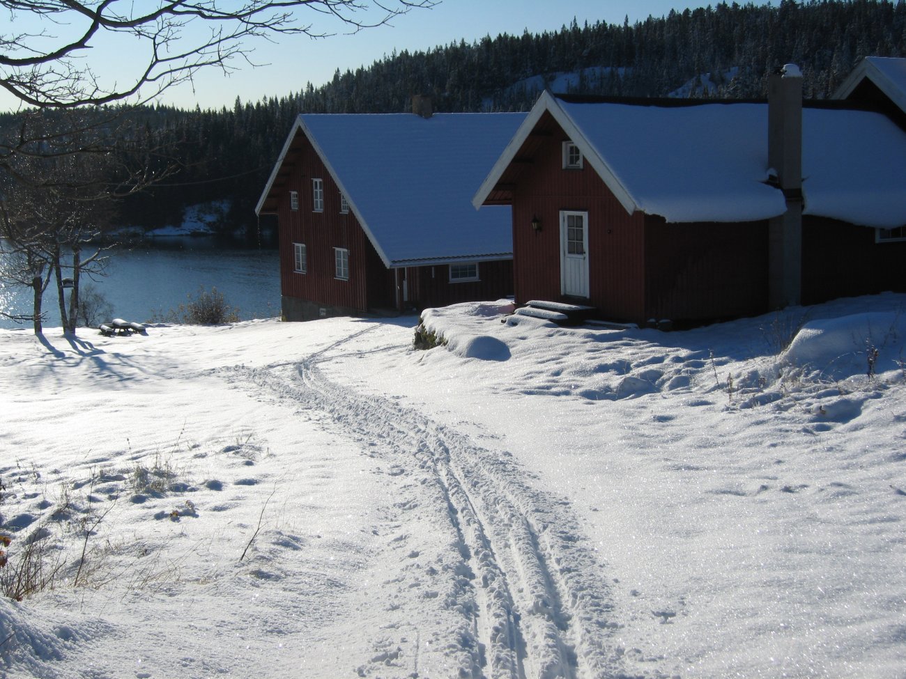 Heggelia ved åpent vintervann