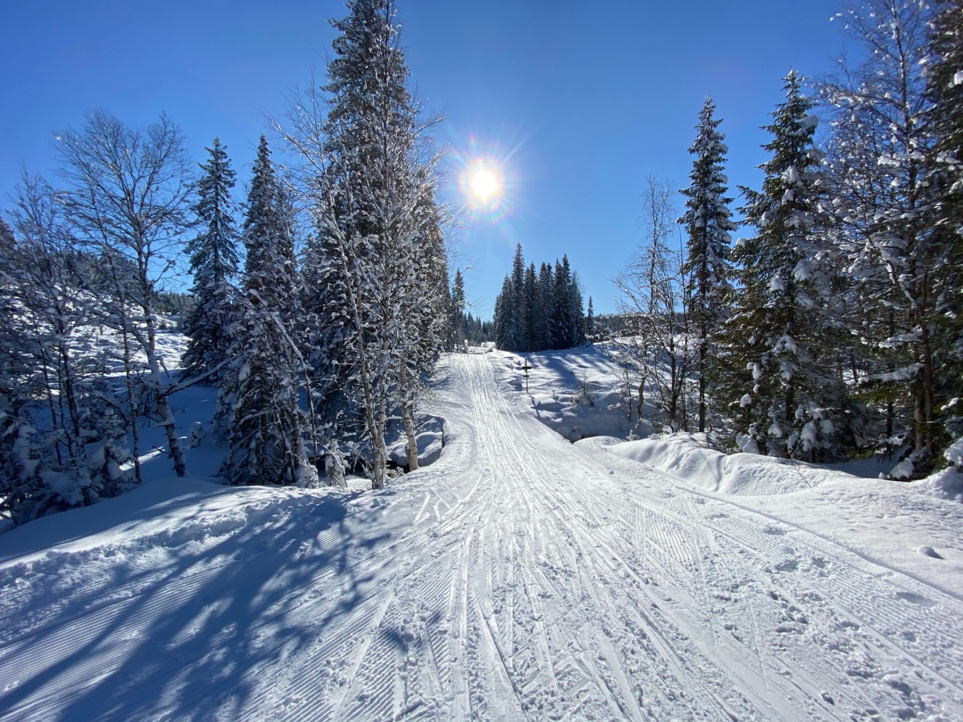 Her krysses Auretjernsbekken