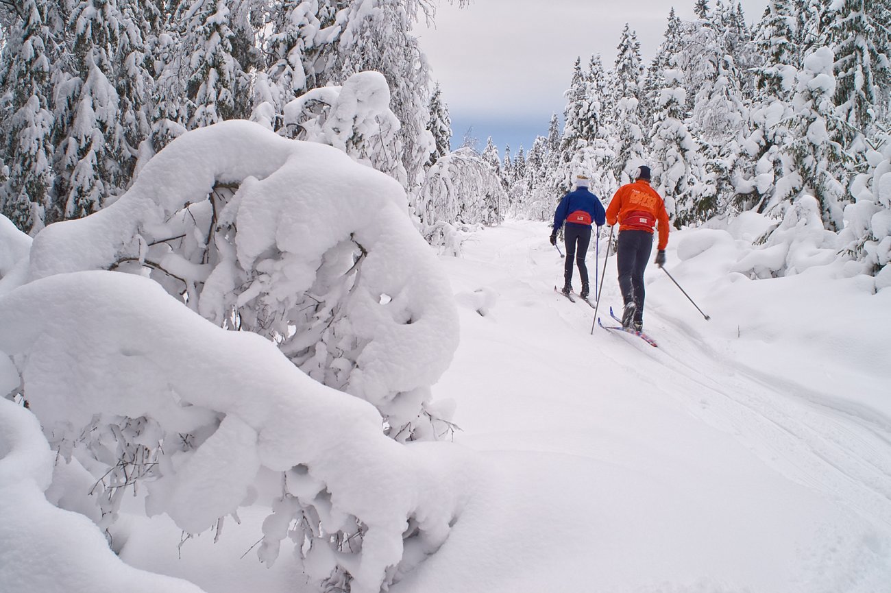 Herlig førjulsvinter!