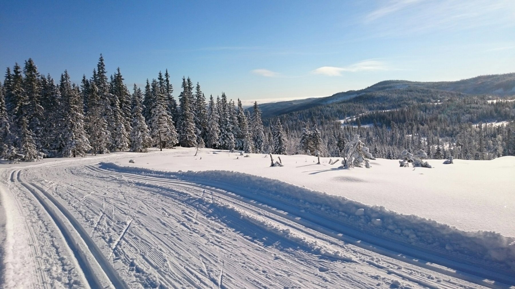 Herlig vinter på Hadelandsåsene