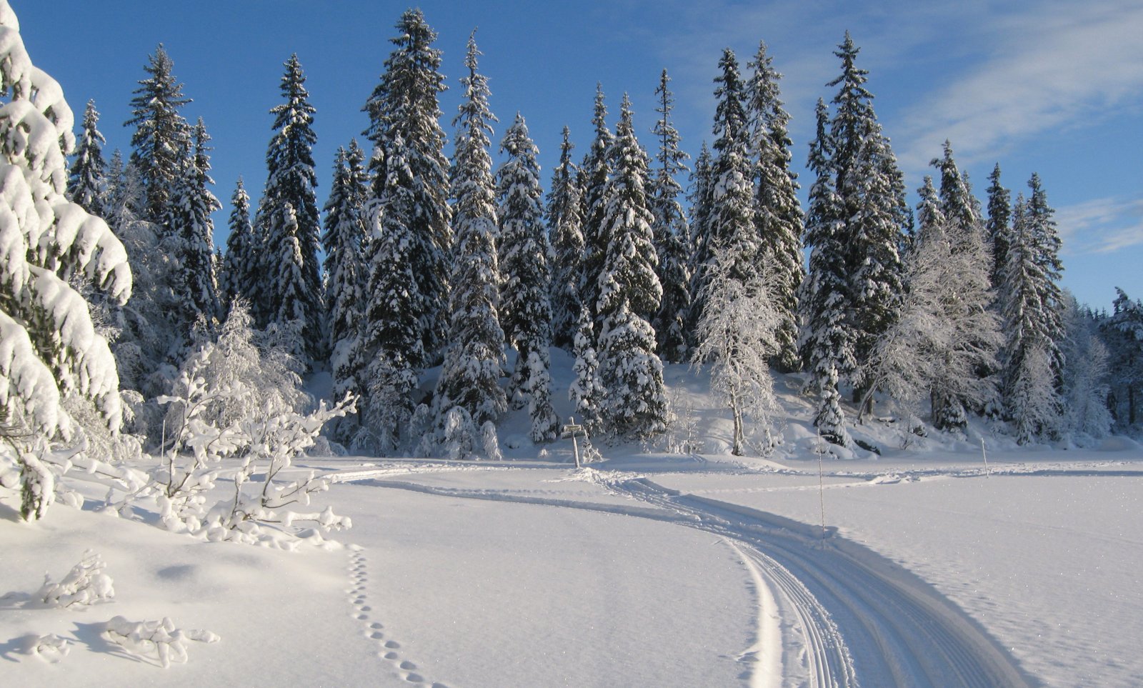 Herlig vinterdag ved Spålen