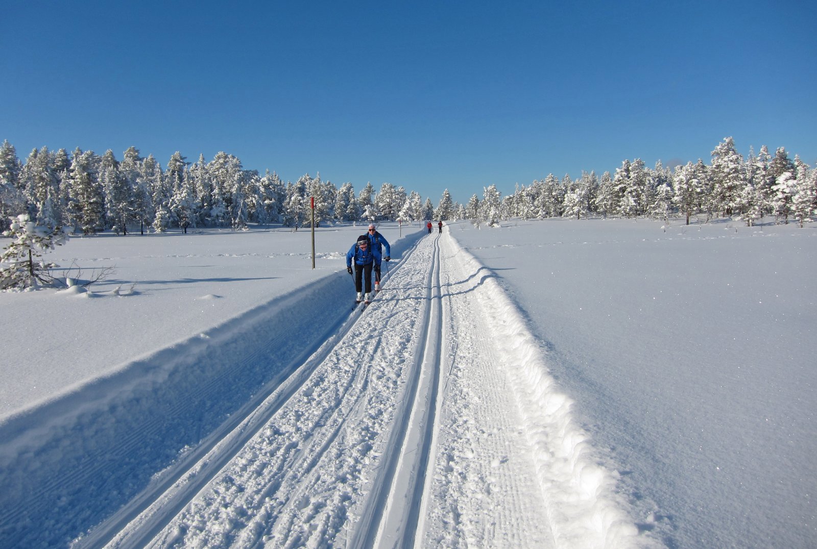 Herlige forhold på Lauvliflaka