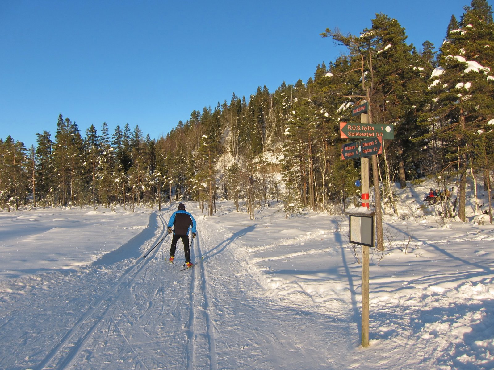 Herlige forhold ved Bertelsmyr