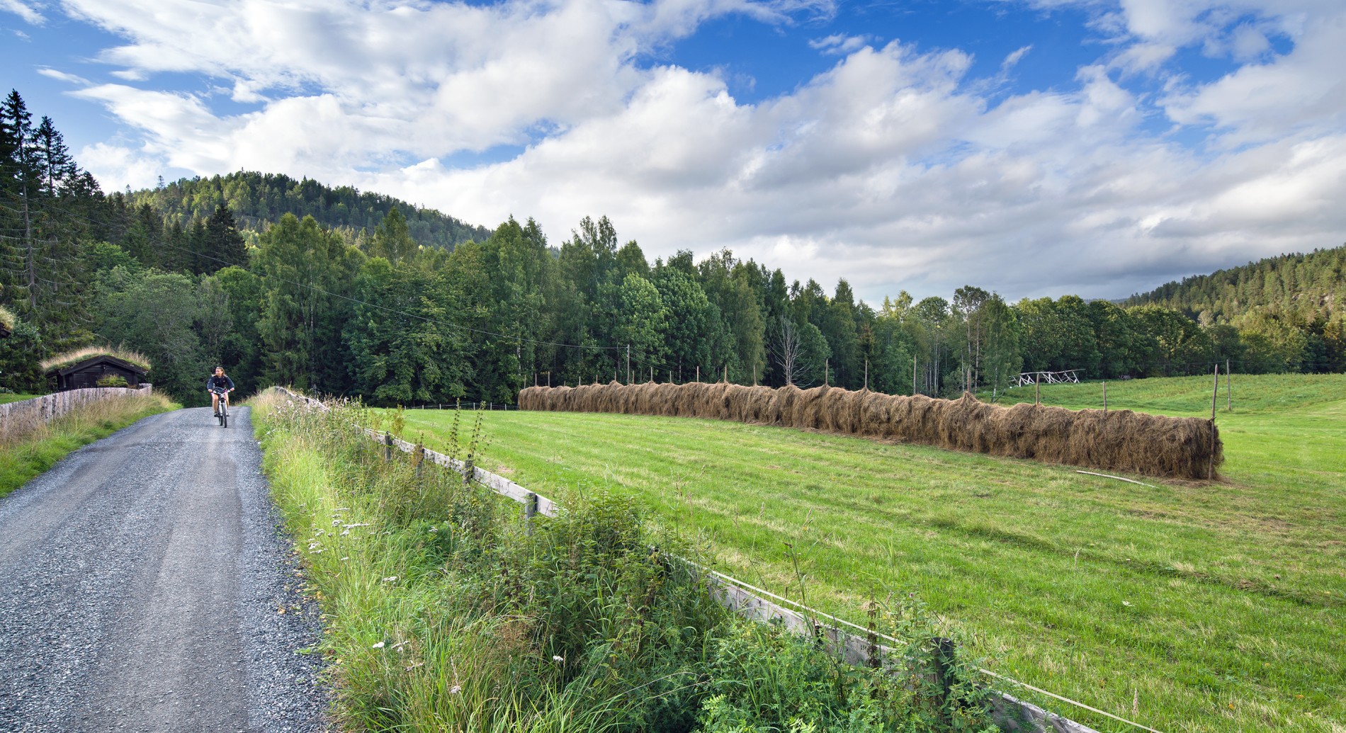 Hesjer ved Kveisebråtan