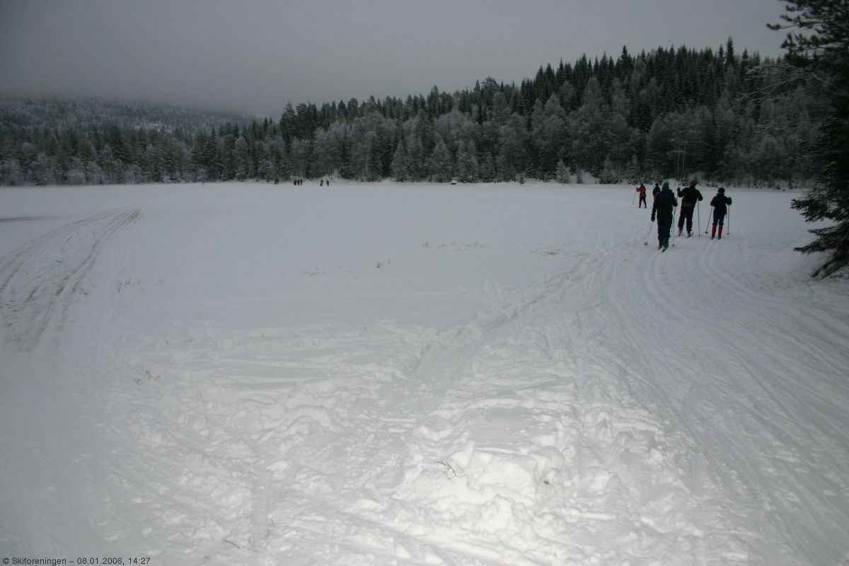 Hjem fra fin dag i Marka