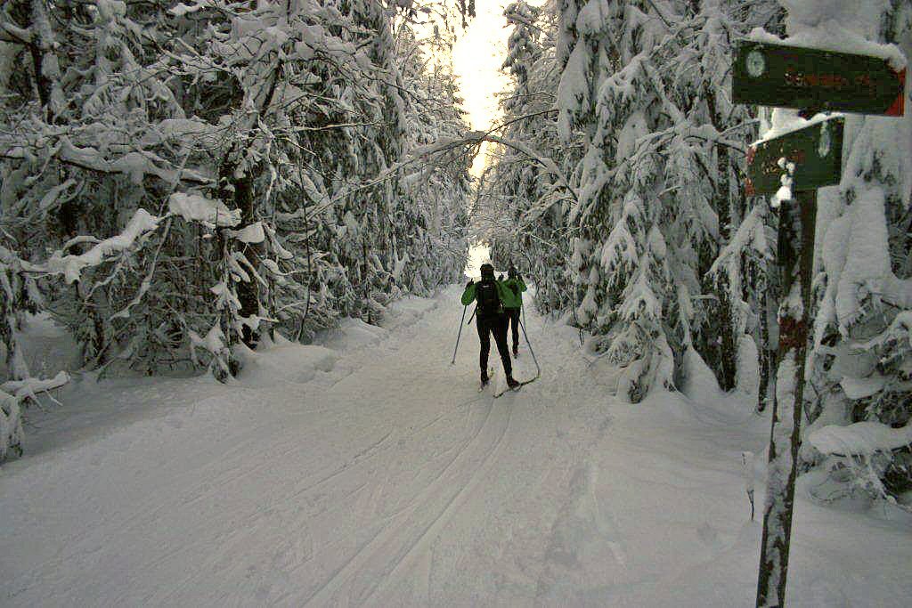 Hjemover fra Bølerhytta