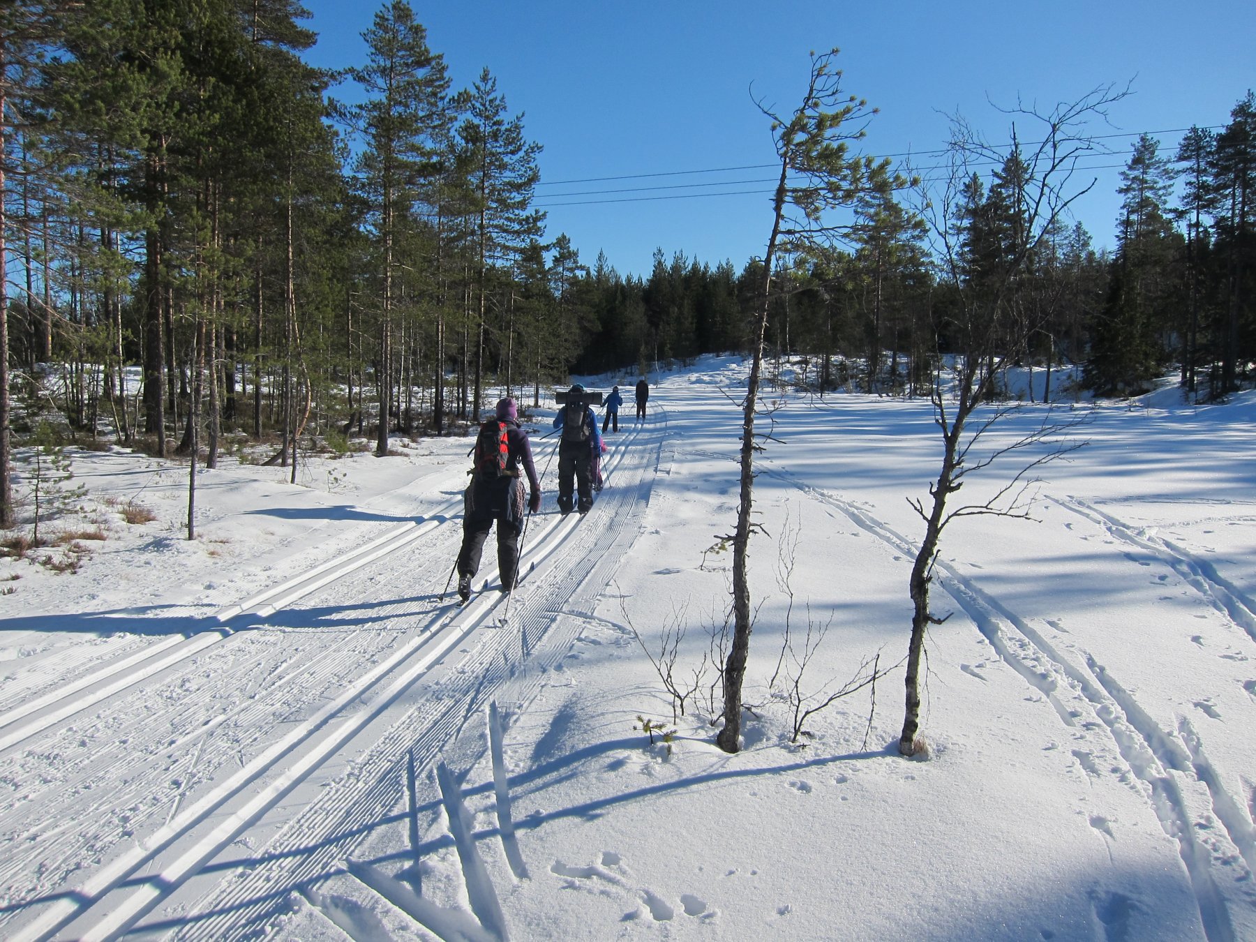 Hjemover fra Spikertjernhytta
