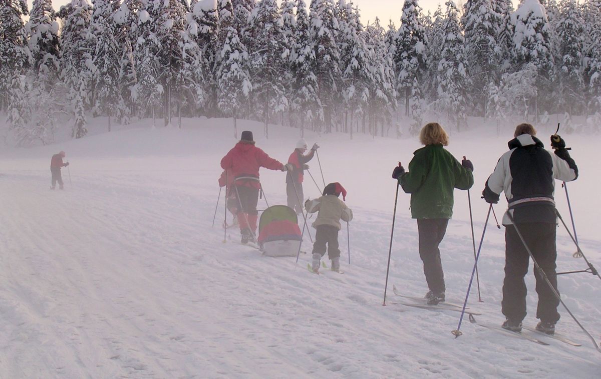 Hjemover i kveldsdisen
