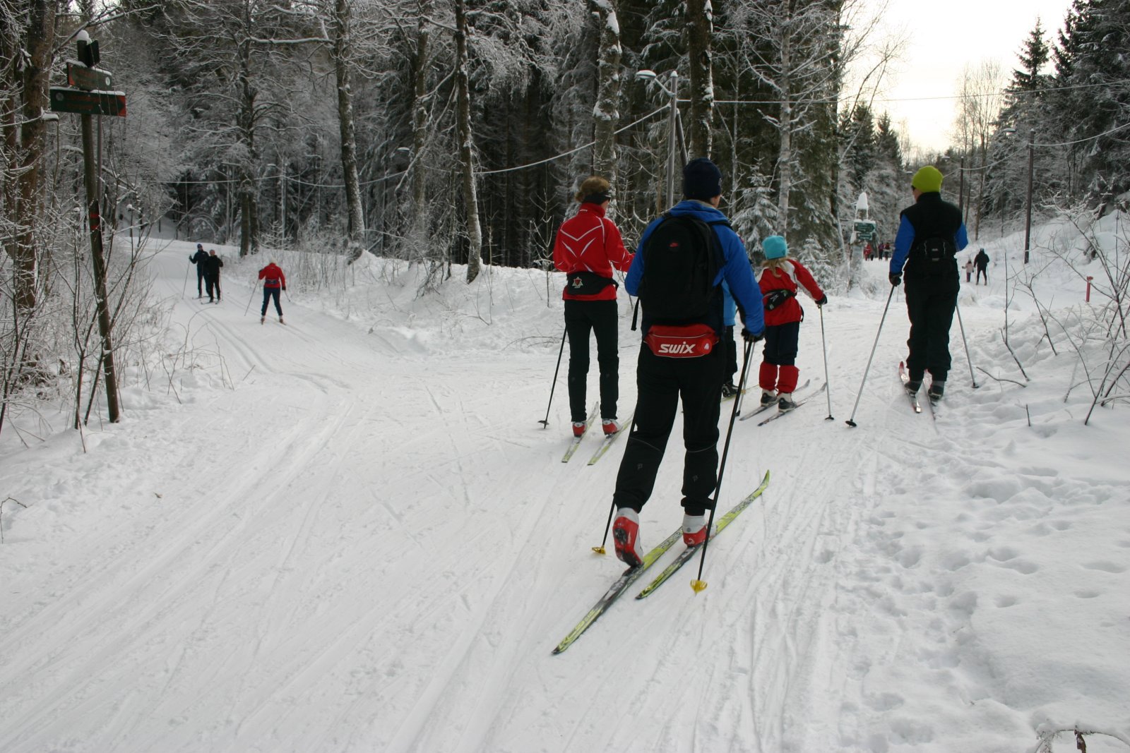 Hjemover ved Hammeren