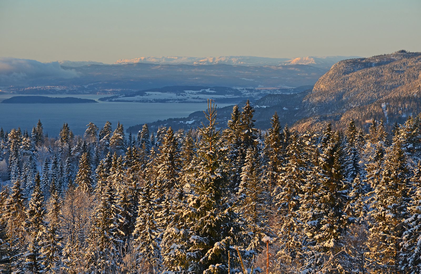 Høgbrennåsen: utsikt mot Bukollen og Vassfarfjella